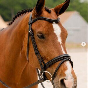 KL Select Snaffle Horse Bridle Removable Flashing KK Ultra 6.5" Bit + Reins Brwn